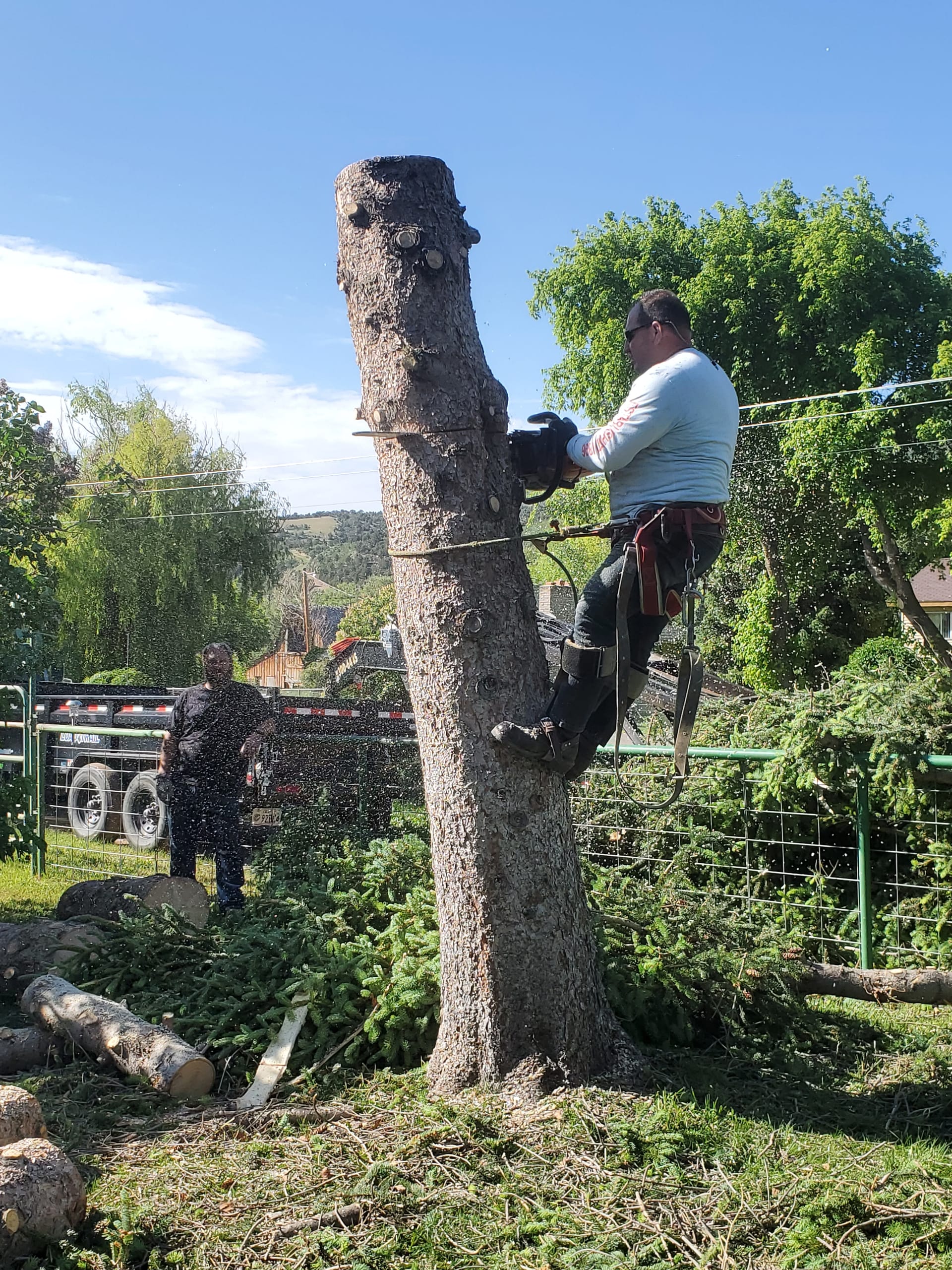 Carey Cordova operating a stump grinder